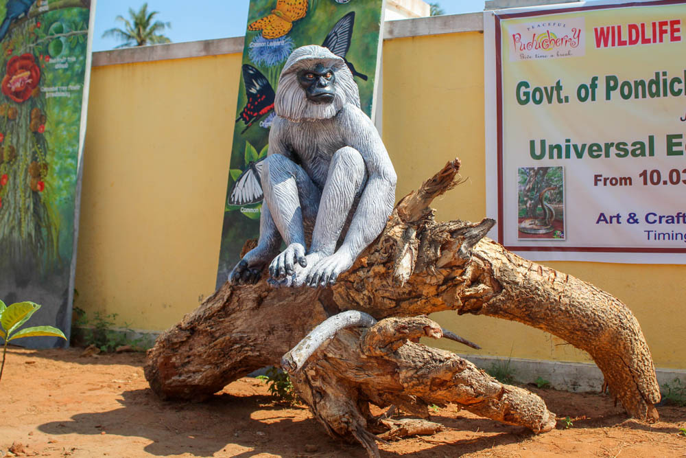 புதுச்சேரி முருங்கம்பாக்கத்தில் காட்டு விலங்குகளைக் கண்முன்னே நிறுத்திய வன உயிரின கலைக்கண்காட்சி! புதுச்சேரி முருங்கம்பாக்கத்தில் காட்டு விலங்குகளைக் கண்முன்னே நிறுத்திய வன உயிரின கலைக்கண்காட்சி!