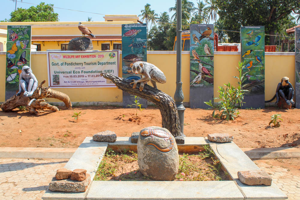 புதுச்சேரி முருங்கம்பாக்கத்தில் காட்டு விலங்குகளைக் கண்முன்னே நிறுத்திய வன உயிரின கலைக்கண்காட்சி! புதுச்சேரி முருங்கம்பாக்கத்தில் காட்டு விலங்குகளைக் கண்முன்னே நிறுத்திய வன உயிரின கலைக்கண்காட்சி!