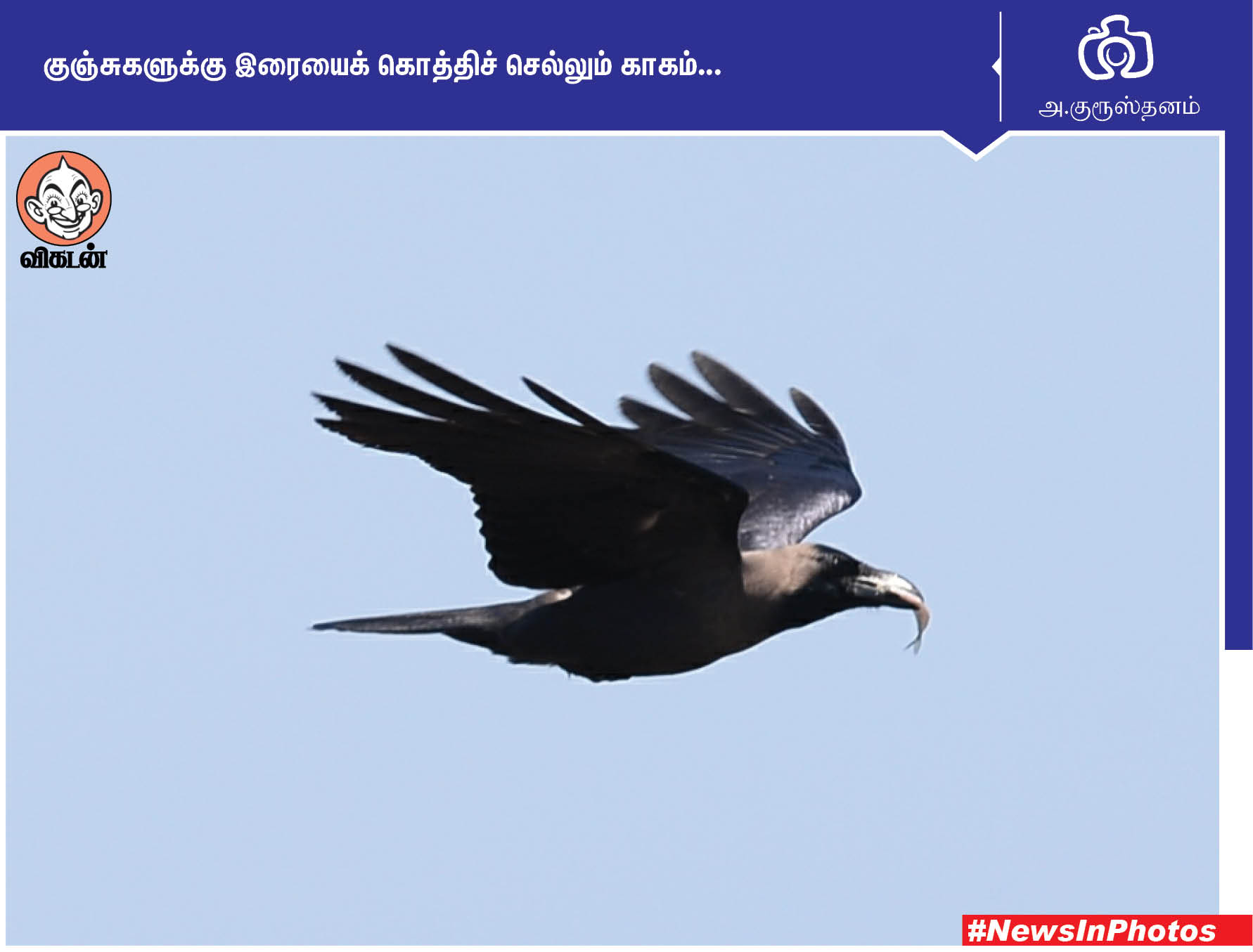 தி.மு.க வேட்பாளரை ஆதரிக்கும் லியோனி... மேம்பாலத்தில் அமைக்கப்பட்டுள்ள சுவர் தோட்டம்... #NewsInPhotos தி.மு.க வேட்பாளரை ஆதரிக்கும் லியோனி... மேம்பாலத்தில் அமைக்கப்பட்டுள்ள சுவர் தோட்டம்... #NewsInPhotos