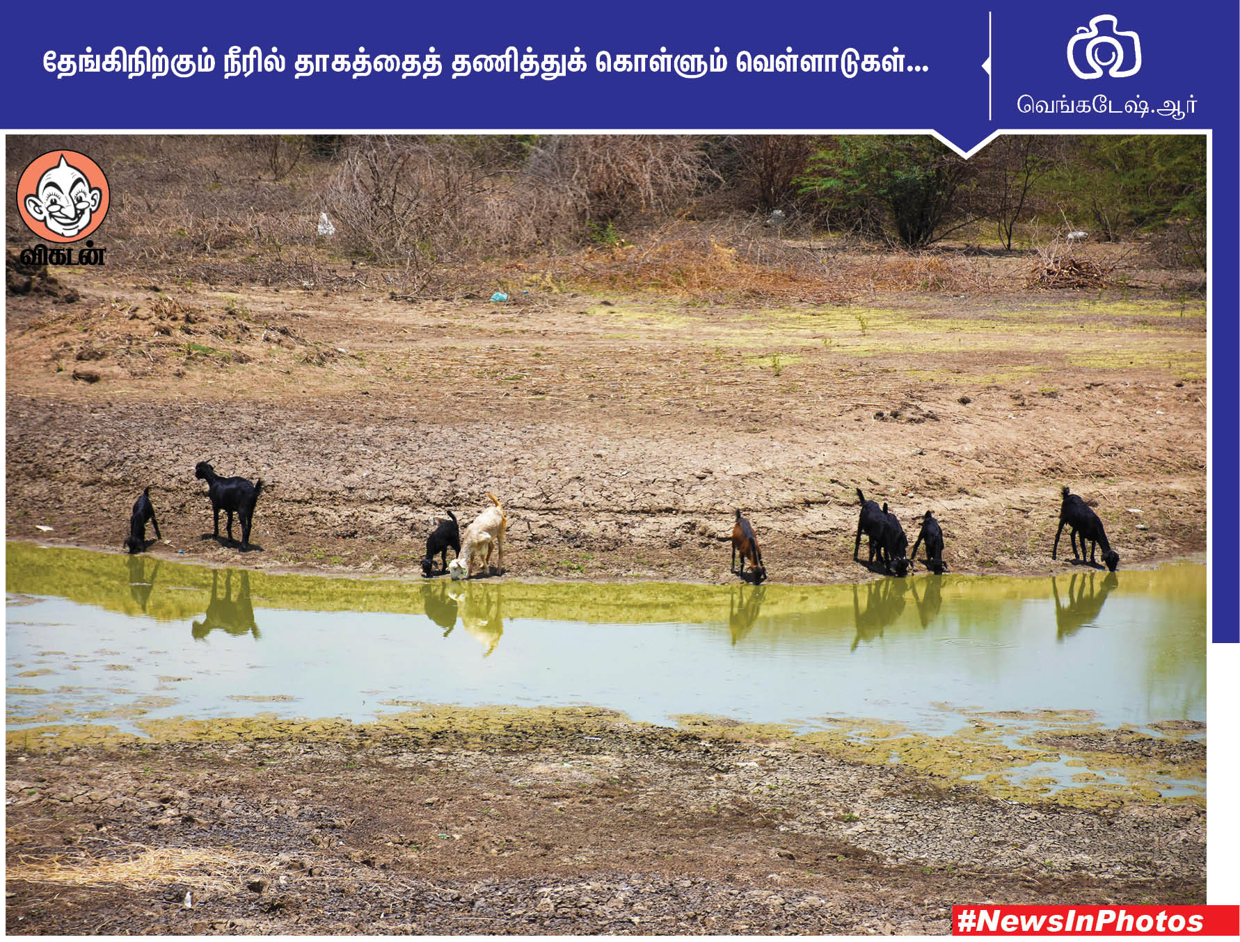 தி.மு.க வேட்பாளரை ஆதரிக்கும் லியோனி... மேம்பாலத்தில் அமைக்கப்பட்டுள்ள சுவர் தோட்டம்... #NewsInPhotos தி.மு.க வேட்பாளரை ஆதரிக்கும் லியோனி... மேம்பாலத்தில் அமைக்கப்பட்டுள்ள சுவர் தோட்டம்... #NewsInPhotos