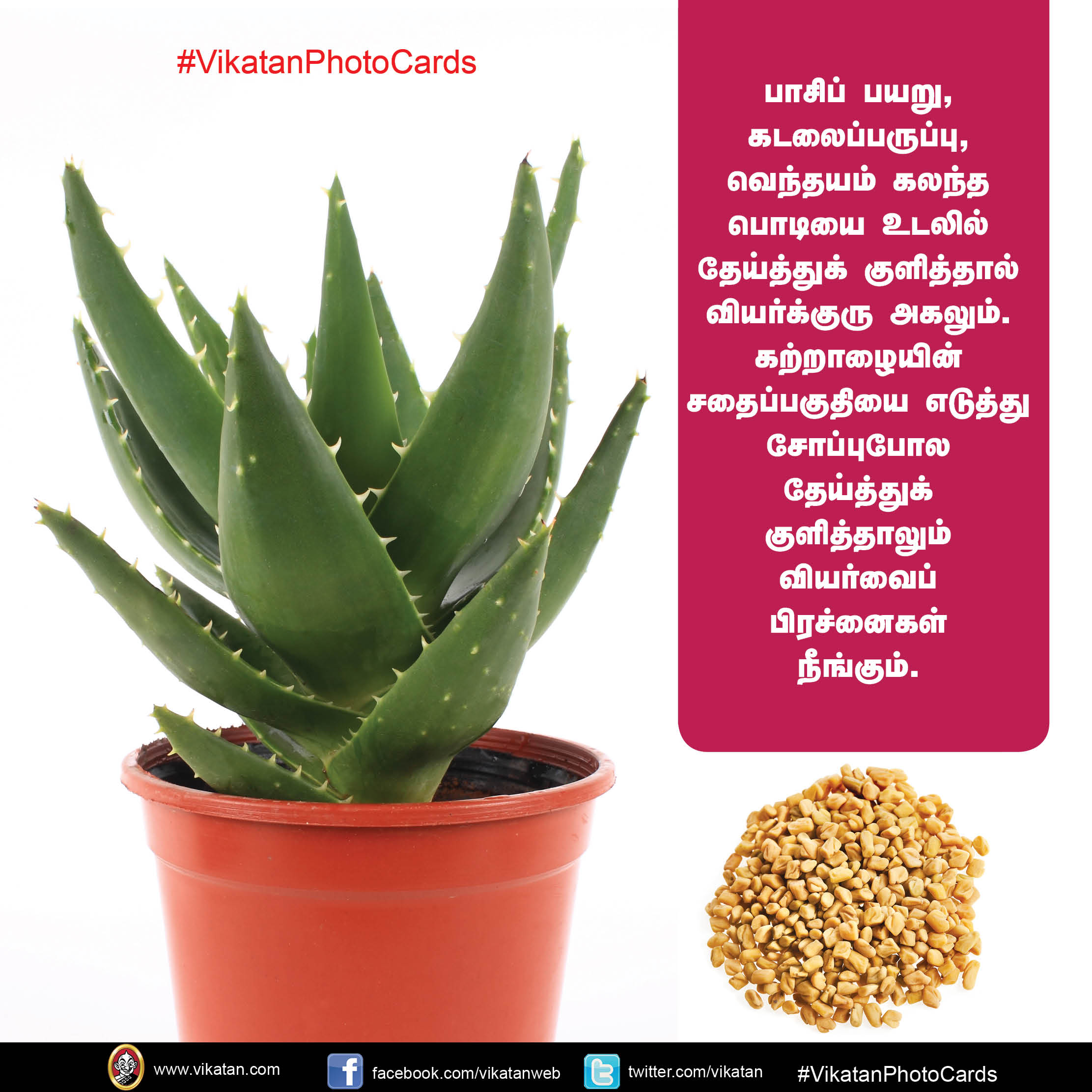 வெயில் காலத்தில் வதைக்கும் வியர்க்குருவைப் போக்க இயற்கையான தீர்வுகள்! #VikatanPhotoCards வெயில் காலத்தில் வதைக்கும் வியர்க்குருவைப் போக்க இயற்கையான தீர்வுகள்! #VikatanPhotoCards