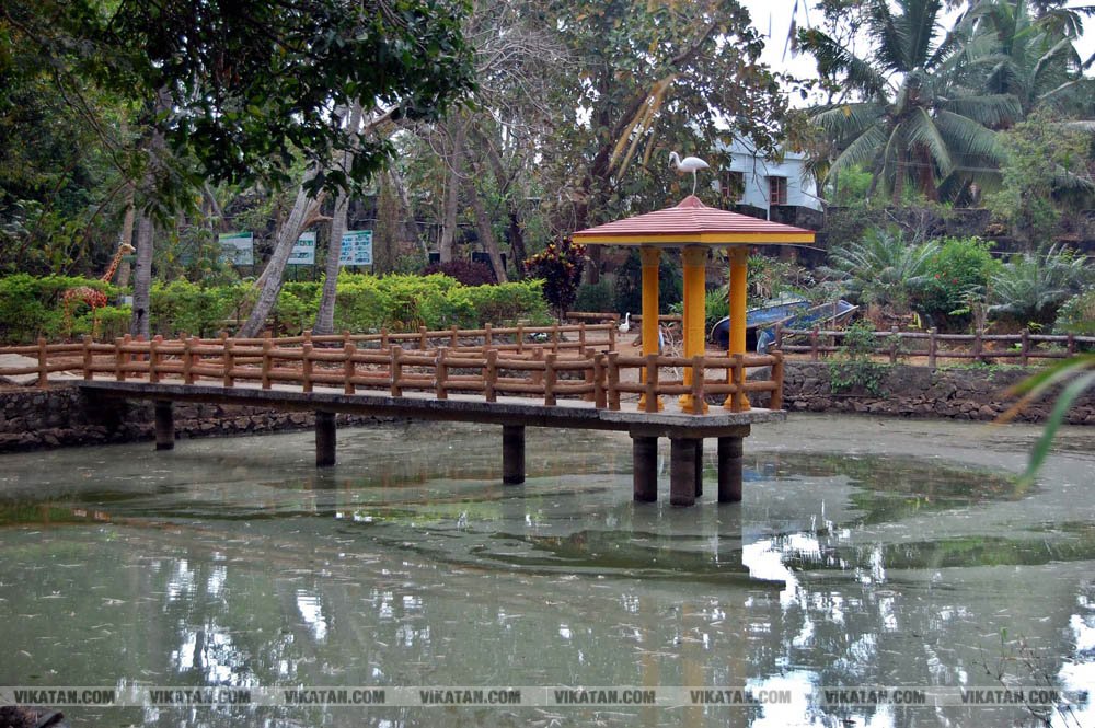 குமரியின் புராதன சின்னமாக விளங்கும் புலியூர்குறிச்சி உதயகிரி கோட்டை குமரியின் புராதன சின்னமாக விளங்கும் புலியூர்குறிச்சி உதயகிரி கோட்டை