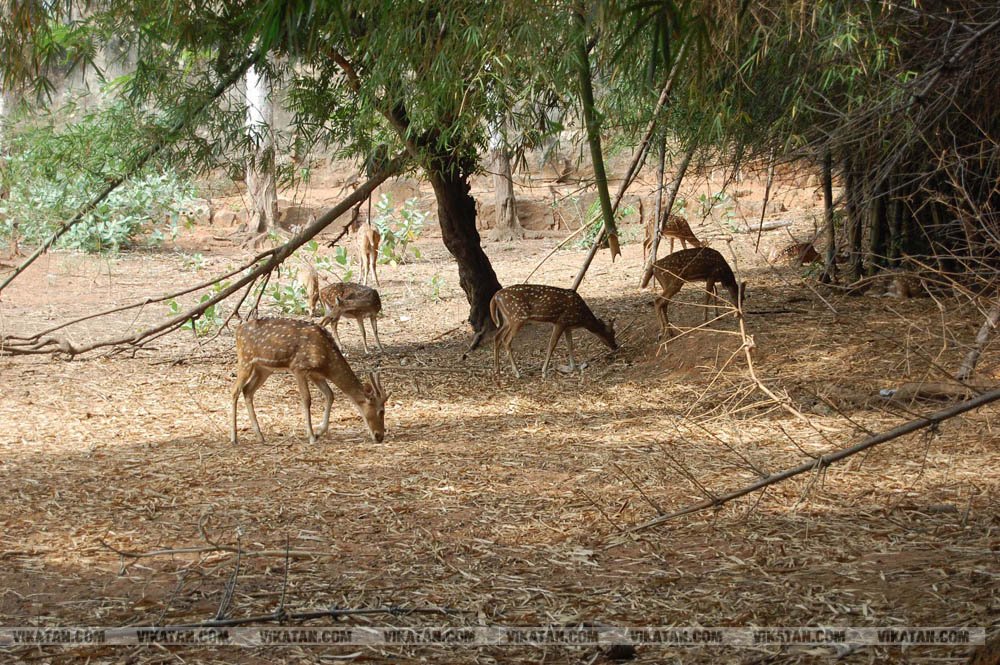 குமரியின் புராதன சின்னமாக விளங்கும் புலியூர்குறிச்சி உதயகிரி கோட்டை குமரியின் புராதன சின்னமாக விளங்கும் புலியூர்குறிச்சி உதயகிரி கோட்டை