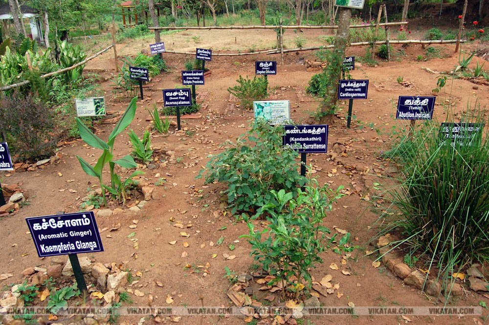 குமரியின் புராதன சின்னமாக விளங்கும் புலியூர்குறிச்சி உதயகிரி கோட்டை குமரியின் புராதன சின்னமாக விளங்கும் புலியூர்குறிச்சி உதயகிரி கோட்டை