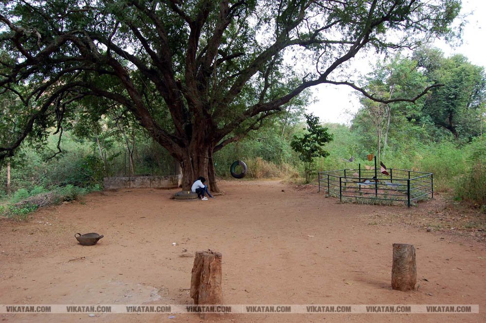 குமரியின் புராதன சின்னமாக விளங்கும் புலியூர்குறிச்சி உதயகிரி கோட்டை குமரியின் புராதன சின்னமாக விளங்கும் புலியூர்குறிச்சி உதயகிரி கோட்டை