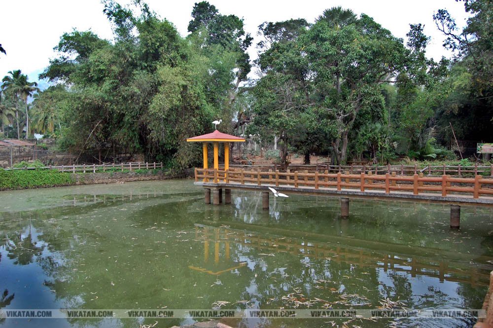 குமரியின் புராதன சின்னமாக விளங்கும் புலியூர்குறிச்சி உதயகிரி கோட்டை குமரியின் புராதன சின்னமாக விளங்கும் புலியூர்குறிச்சி உதயகிரி கோட்டை