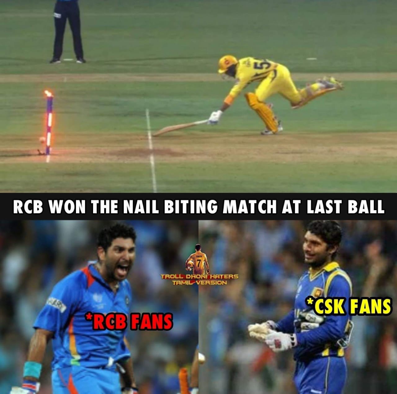 4, 6, 6, 2, 6... 111 மீட்டர் சிக்ஸ்... பேரு தோனி! #RCBvsCSK போட்டிக்குக் குவிந்த 'மாஸ்' தோனி மீம்ஸ் 4, 6, 6, 2, 6... 111 மீட்டர் சிக்ஸ்... பேரு தோனி! #RCBvsCSK போட்டிக்குக் குவிந்த 'மாஸ்' தோனி மீம்ஸ்