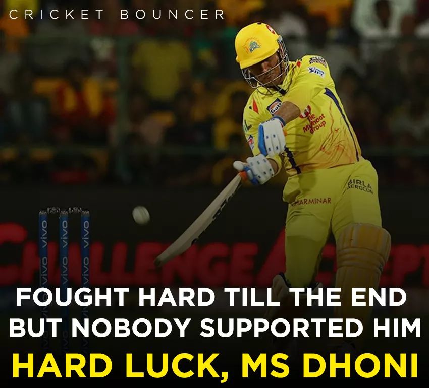 4, 6, 6, 2, 6... 111 மீட்டர் சிக்ஸ்... பேரு தோனி! #RCBvsCSK போட்டிக்குக் குவிந்த 'மாஸ்' தோனி மீம்ஸ் 4, 6, 6, 2, 6... 111 மீட்டர் சிக்ஸ்... பேரு தோனி! #RCBvsCSK போட்டிக்குக் குவிந்த 'மாஸ்' தோனி மீம்ஸ்