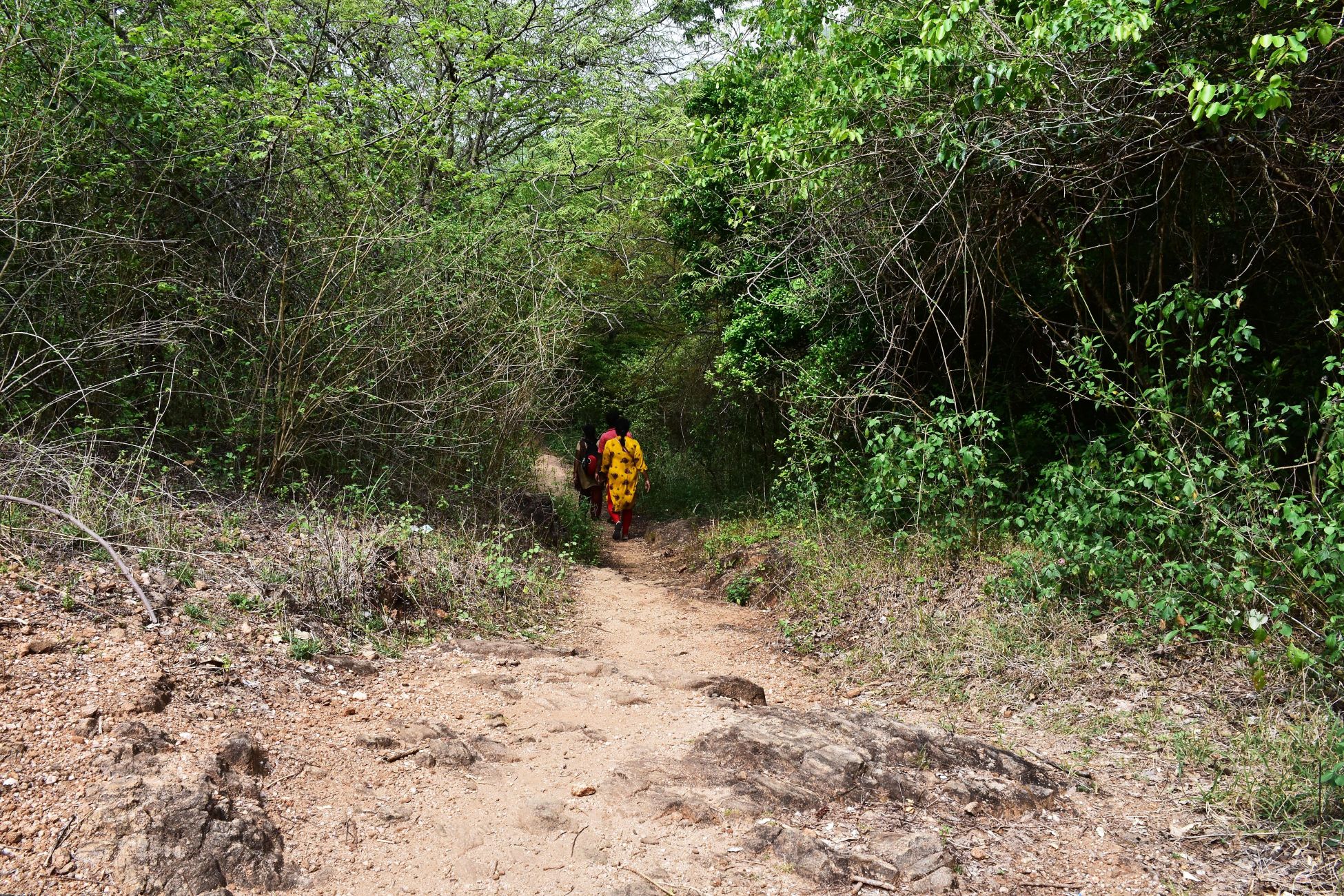 இயற்கை எழில் சூழ்ந்த சுருளி மலையாண்டவர் கோயில் - படங்கள் : கண்ணன் ர இயற்கை எழில் சூழ்ந்த சுருளி மலையாண்டவர் கோயில் - படங்கள் : கண்ணன் ர