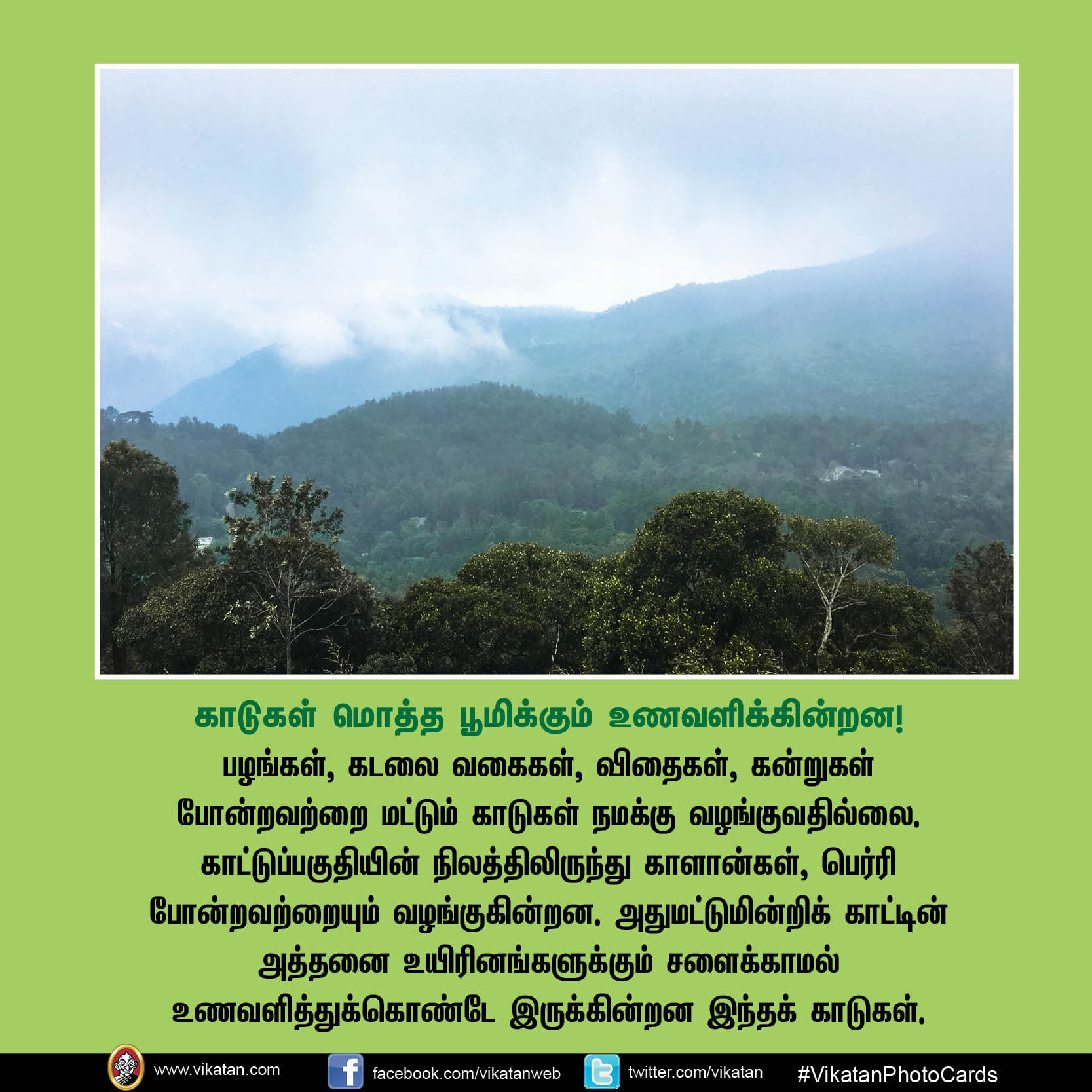காடு மனிதனுக்கு என்ன செய்தது? இந்த 17 விஷயங்கள்தான் விடை! #VikatanPhotoCards காடு மனிதனுக்கு என்ன செய்தது? இந்த 17 விஷயங்கள்தான் விடை! #VikatanPhotoCards