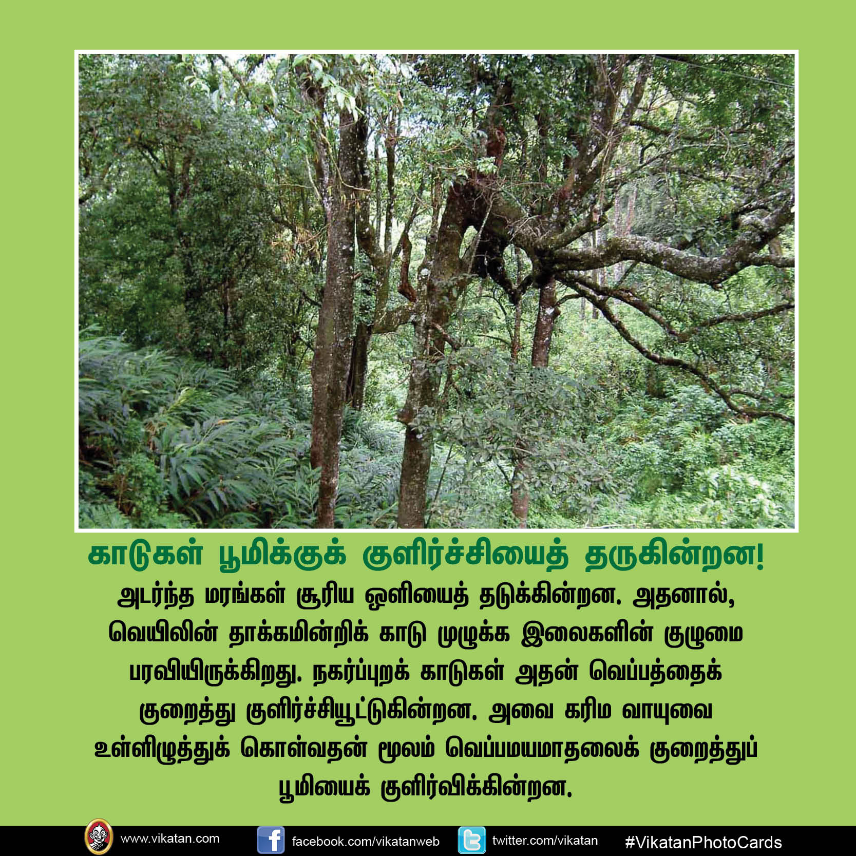 காடு மனிதனுக்கு என்ன செய்தது? இந்த 17 விஷயங்கள்தான் விடை! #VikatanPhotoCards காடு மனிதனுக்கு என்ன செய்தது? இந்த 17 விஷயங்கள்தான் விடை! #VikatanPhotoCards