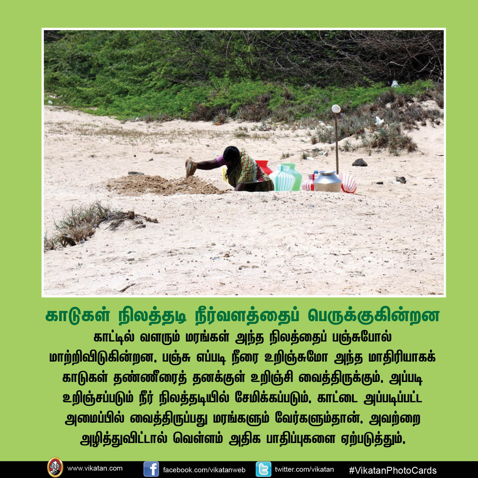 காடு மனிதனுக்கு என்ன செய்தது? இந்த 17 விஷயங்கள்தான் விடை! #VikatanPhotoCards காடு மனிதனுக்கு என்ன செய்தது? இந்த 17 விஷயங்கள்தான் விடை! #VikatanPhotoCards