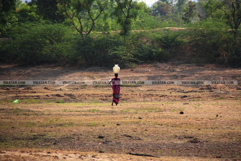 குடிநீருக்காக பல கி.மீட்டருக்கு பயணம்... தண்ணீரின்றி தவிக்கும் மேலூர் மக்கள்! படங்கள்: ஈ.ஜெ.நந்தகுமார் குடிநீருக்காக பல கி.மீட்டருக்கு பயணம்... தண்ணீரின்றி தவிக்கும் மேலூர் மக்கள்! படங்கள்: ஈ.ஜெ.நந்தகுமார்