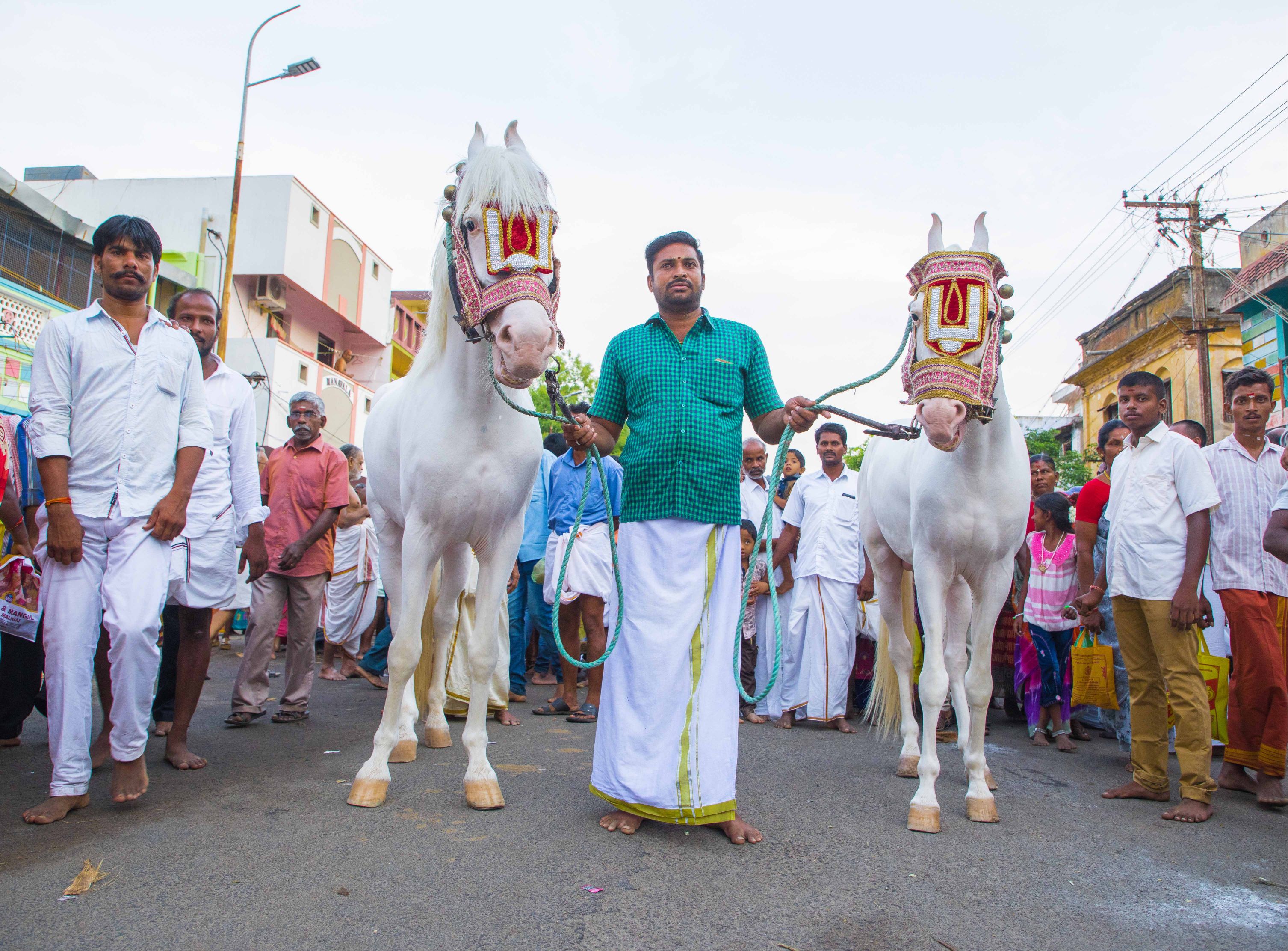 திருச்சி, ஸ்ரீரங்கம் ரங்கநாத சுவாமி கோயில் சித்திரைத் தேரோட்டம் திருச்சி, ஸ்ரீரங்கம் ரங்கநாத சுவாமி கோயில் சித்திரைத் தேரோட்டம்