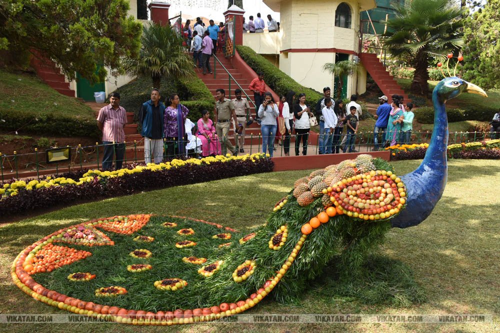 அல்போன்சா, மல்லிகா, பீட்டர், நடுசாலை, மல்கோவா, குதாதத்... நீலகிரி, குன்னூர் சிம்ஸ் பூங்கா, 61வது பழக்கண்காட்சியில் மாம்பழங்களின் அணிவகுப்பு அல்போன்சா, மல்லிகா, பீட்டர், நடுசாலை, மல்கோவா, குதாதத்... நீலகிரி, குன்னூர் சிம்ஸ் பூங்கா, 61வது பழக்கண்காட்சியில் மாம்பழங்களின் அணிவகுப்பு