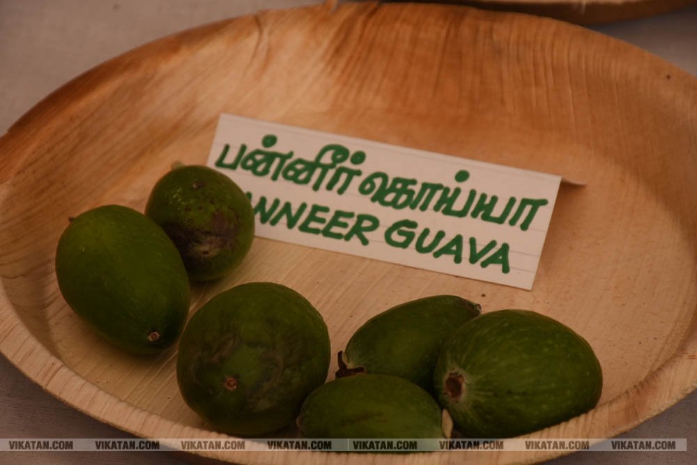 அல்போன்சா, மல்லிகா, பீட்டர், நடுசாலை, மல்கோவா, குதாதத்... நீலகிரி, குன்னூர் சிம்ஸ் பூங்கா, 61வது பழக்கண்காட்சியில் மாம்பழங்களின் அணிவகுப்பு அல்போன்சா, மல்லிகா, பீட்டர், நடுசாலை, மல்கோவா, குதாதத்... நீலகிரி, குன்னூர் சிம்ஸ் பூங்கா, 61வது பழக்கண்காட்சியில் மாம்பழங்களின் அணிவகுப்பு