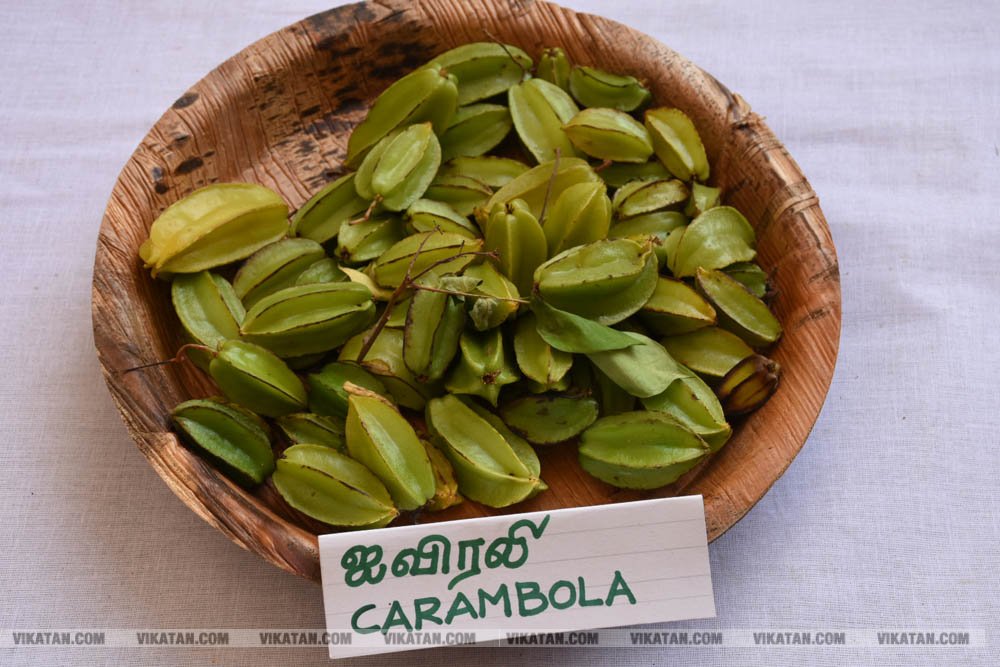 அல்போன்சா, மல்லிகா, பீட்டர், நடுசாலை, மல்கோவா, குதாதத்... நீலகிரி, குன்னூர் சிம்ஸ் பூங்கா, 61வது பழக்கண்காட்சியில் மாம்பழங்களின் அணிவகுப்பு அல்போன்சா, மல்லிகா, பீட்டர், நடுசாலை, மல்கோவா, குதாதத்... நீலகிரி, குன்னூர் சிம்ஸ் பூங்கா, 61வது பழக்கண்காட்சியில் மாம்பழங்களின் அணிவகுப்பு