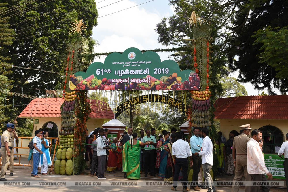 அல்போன்சா, மல்லிகா, பீட்டர், நடுசாலை, மல்கோவா, குதாதத்... நீலகிரி, குன்னூர் சிம்ஸ் பூங்கா, 61வது பழக்கண்காட்சியில் மாம்பழங்களின் அணிவகுப்பு அல்போன்சா, மல்லிகா, பீட்டர், நடுசாலை, மல்கோவா, குதாதத்... நீலகிரி, குன்னூர் சிம்ஸ் பூங்கா, 61வது பழக்கண்காட்சியில் மாம்பழங்களின் அணிவகுப்பு