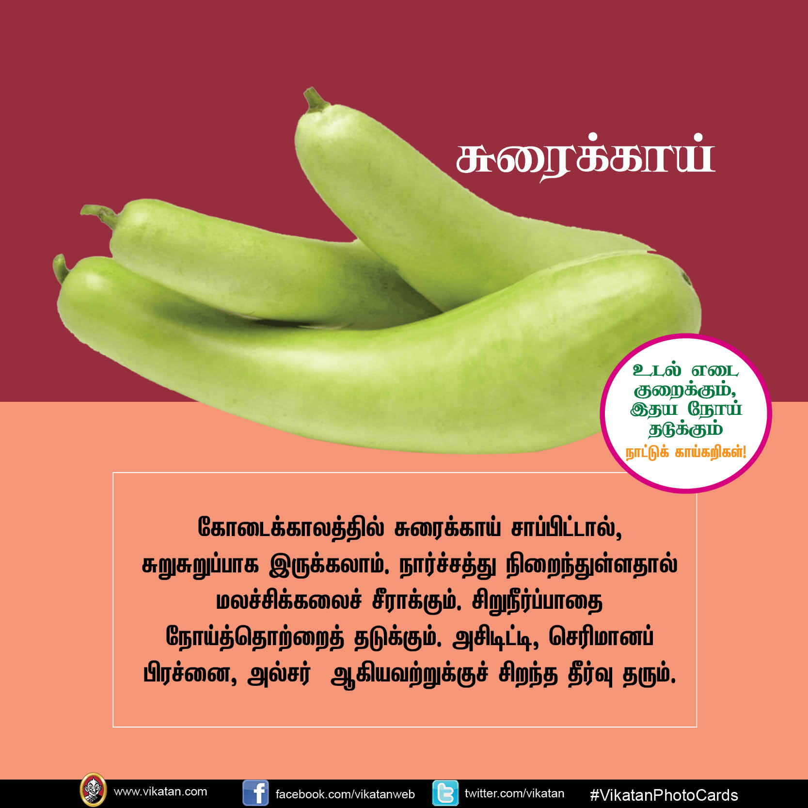 சுரைக்காய், பீர்க்கங்காய், வெண்டைக்காய்... நலம் காக்கும் நாட்டுக்காய்கறிகள்! #VikatanPhotoCards சுரைக்காய், பீர்க்கங்காய், வெண்டைக்காய்... நலம் காக்கும் நாட்டுக்காய்கறிகள்! #VikatanPhotoCards