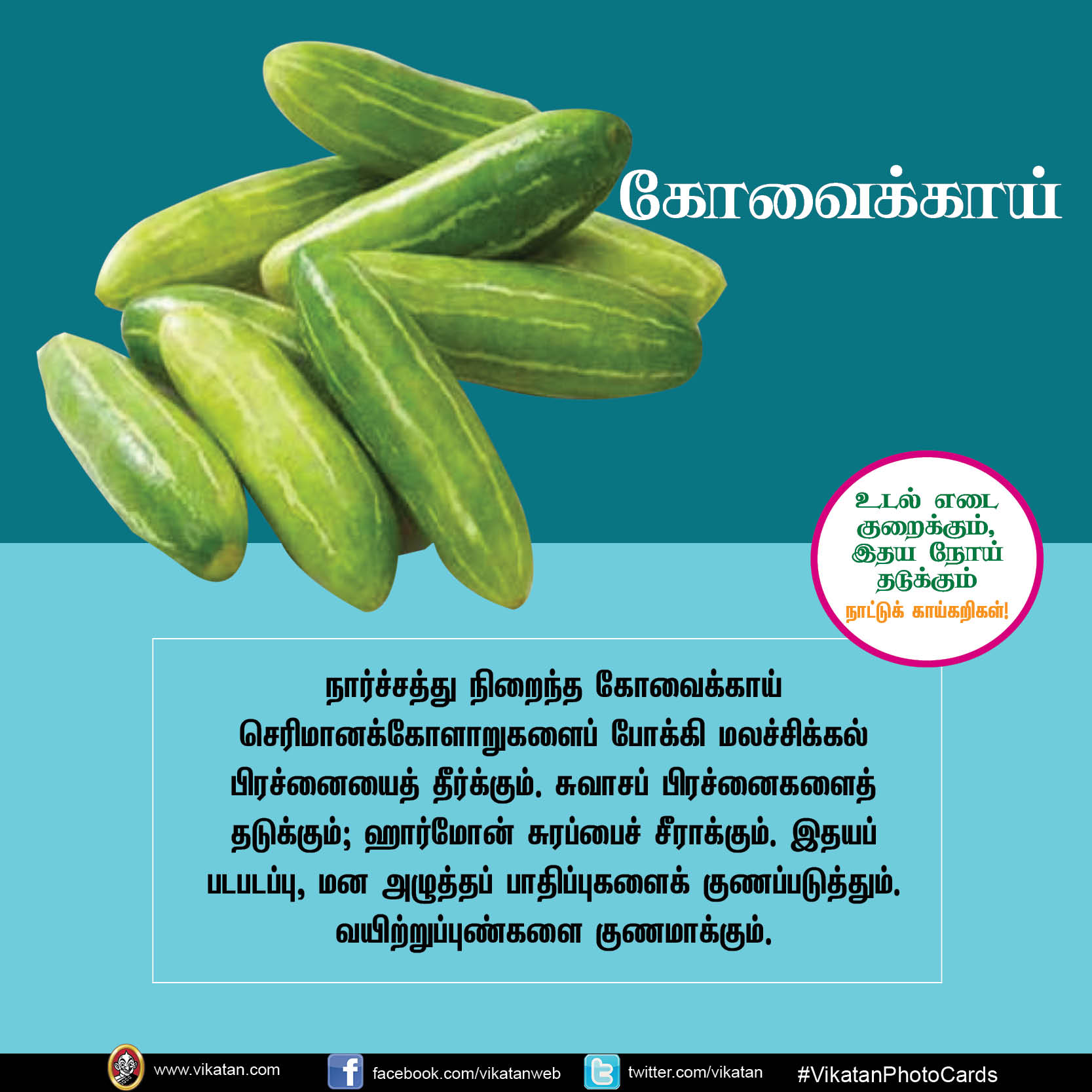 சுரைக்காய், பீர்க்கங்காய், வெண்டைக்காய்... நலம் காக்கும் நாட்டுக்காய்கறிகள்! #VikatanPhotoCards சுரைக்காய், பீர்க்கங்காய், வெண்டைக்காய்... நலம் காக்கும் நாட்டுக்காய்கறிகள்! #VikatanPhotoCards