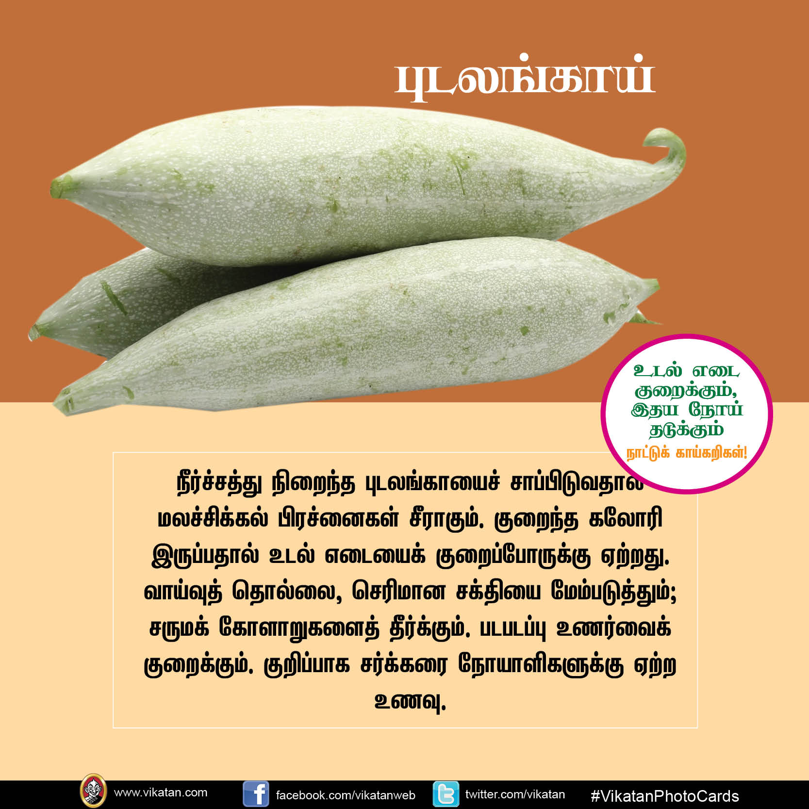 சுரைக்காய், பீர்க்கங்காய், வெண்டைக்காய்... நலம் காக்கும் நாட்டுக்காய்கறிகள்! #VikatanPhotoCards சுரைக்காய், பீர்க்கங்காய், வெண்டைக்காய்... நலம் காக்கும் நாட்டுக்காய்கறிகள்! #VikatanPhotoCards
