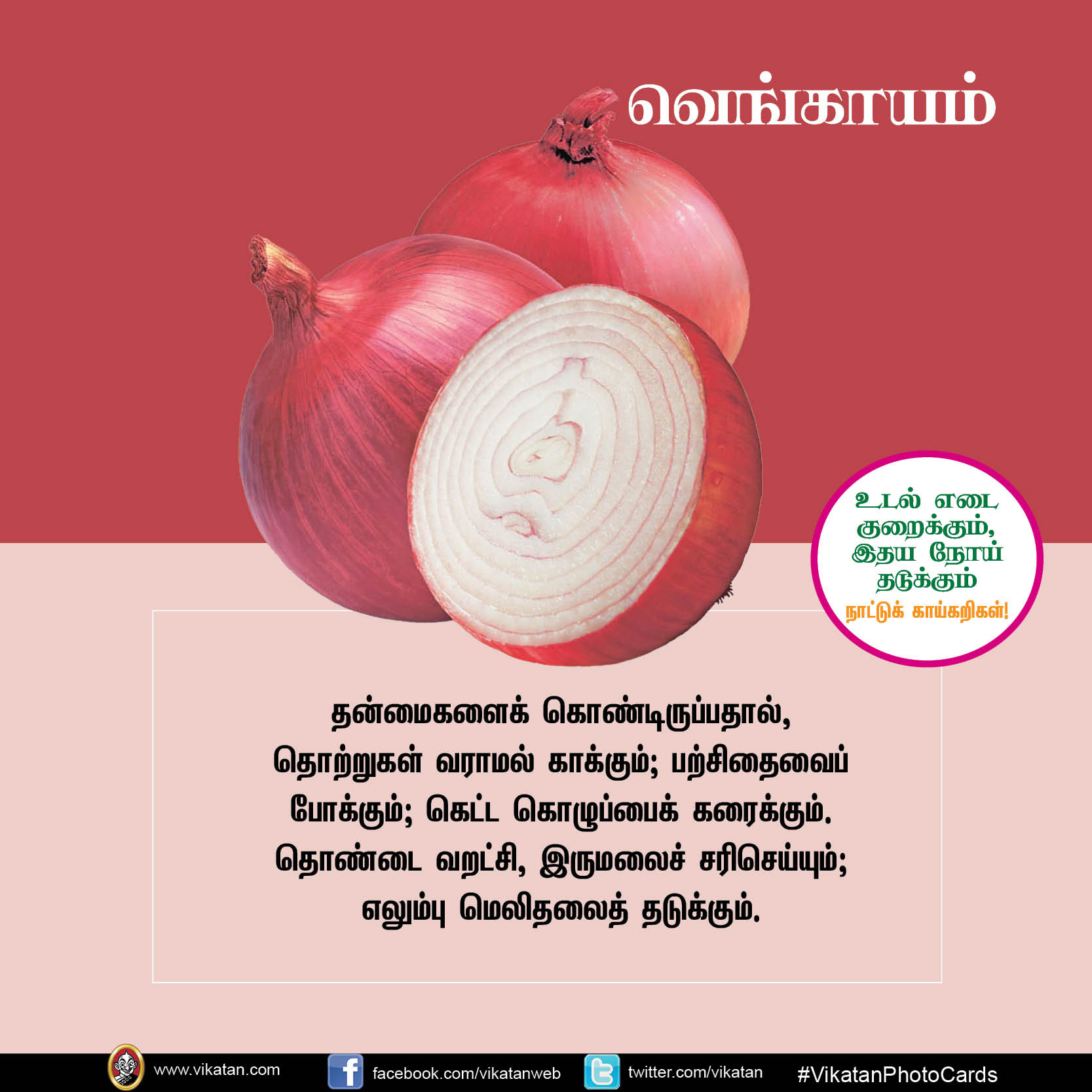 சுரைக்காய், பீர்க்கங்காய், வெண்டைக்காய்... நலம் காக்கும் நாட்டுக்காய்கறிகள்! #VikatanPhotoCards சுரைக்காய், பீர்க்கங்காய், வெண்டைக்காய்... நலம் காக்கும் நாட்டுக்காய்கறிகள்! #VikatanPhotoCards