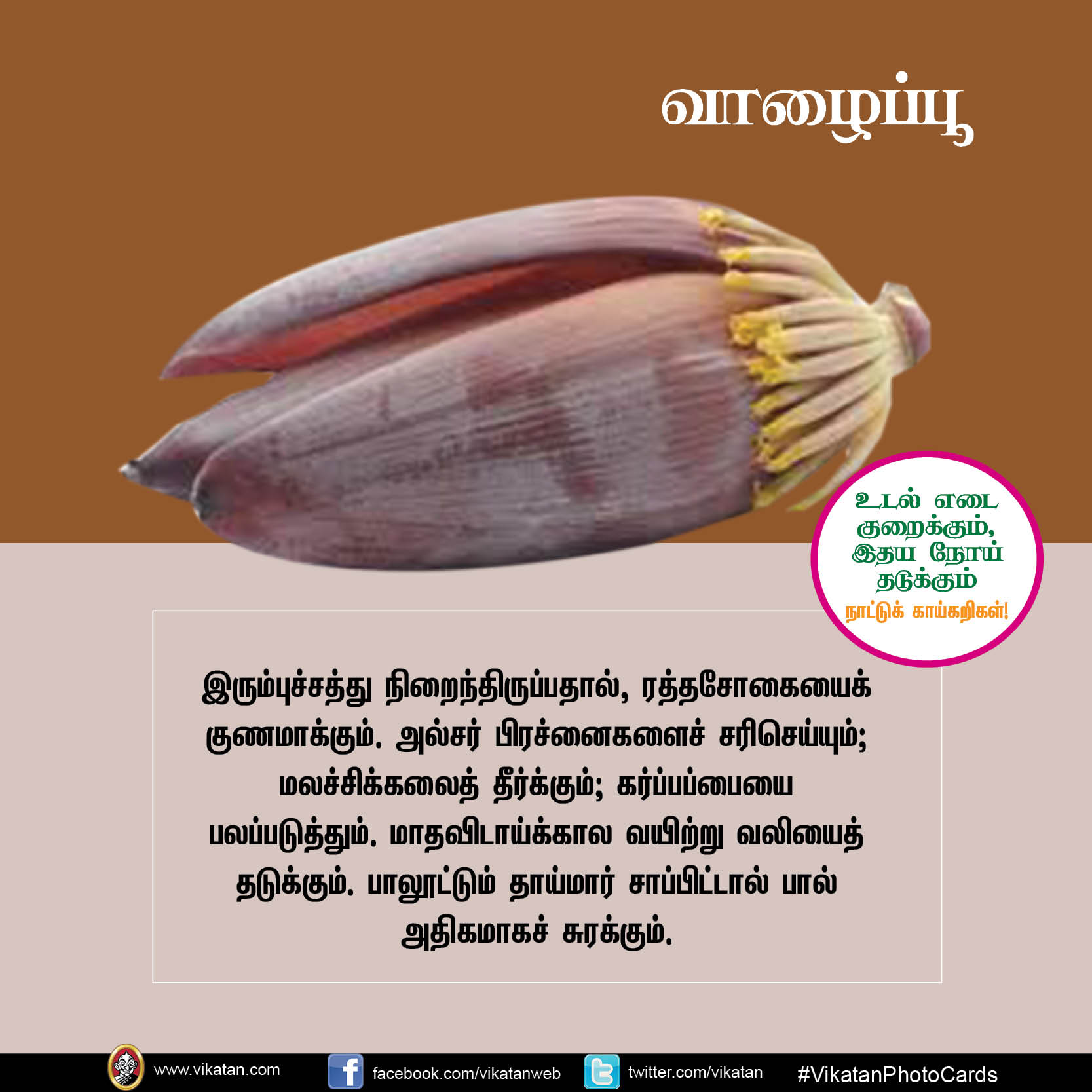 சுரைக்காய், பீர்க்கங்காய், வெண்டைக்காய்... நலம் காக்கும் நாட்டுக்காய்கறிகள்! #VikatanPhotoCards சுரைக்காய், பீர்க்கங்காய், வெண்டைக்காய்... நலம் காக்கும் நாட்டுக்காய்கறிகள்! #VikatanPhotoCards