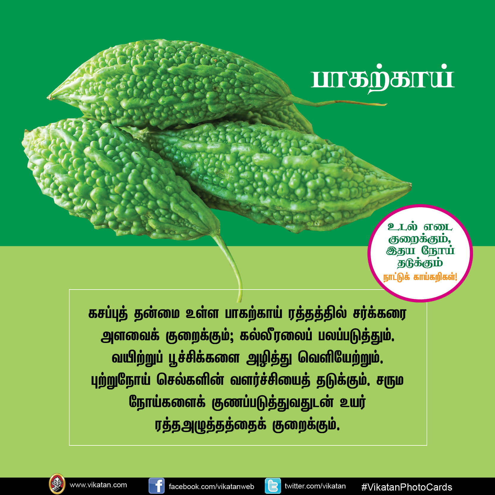 சுரைக்காய், பீர்க்கங்காய், வெண்டைக்காய்... நலம் காக்கும் நாட்டுக்காய்கறிகள்! #VikatanPhotoCards சுரைக்காய், பீர்க்கங்காய், வெண்டைக்காய்... நலம் காக்கும் நாட்டுக்காய்கறிகள்! #VikatanPhotoCards