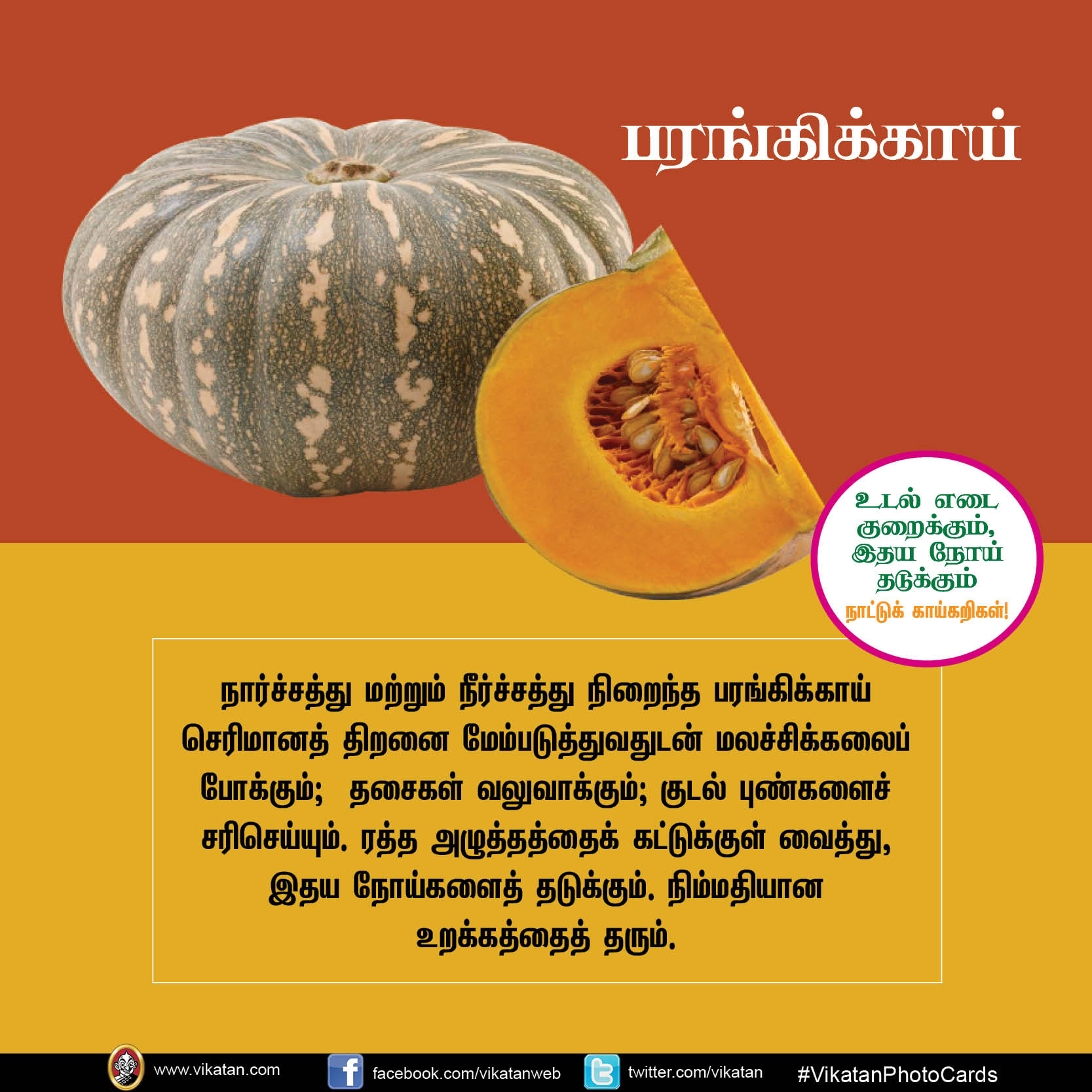 சுரைக்காய், பீர்க்கங்காய், வெண்டைக்காய்... நலம் காக்கும் நாட்டுக்காய்கறிகள்! #VikatanPhotoCards சுரைக்காய், பீர்க்கங்காய், வெண்டைக்காய்... நலம் காக்கும் நாட்டுக்காய்கறிகள்! #VikatanPhotoCards