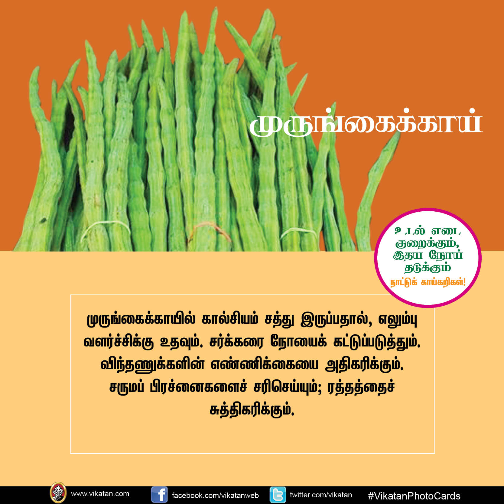 சுரைக்காய், பீர்க்கங்காய், வெண்டைக்காய்... நலம் காக்கும் நாட்டுக்காய்கறிகள்! #VikatanPhotoCards சுரைக்காய், பீர்க்கங்காய், வெண்டைக்காய்... நலம் காக்கும் நாட்டுக்காய்கறிகள்! #VikatanPhotoCards