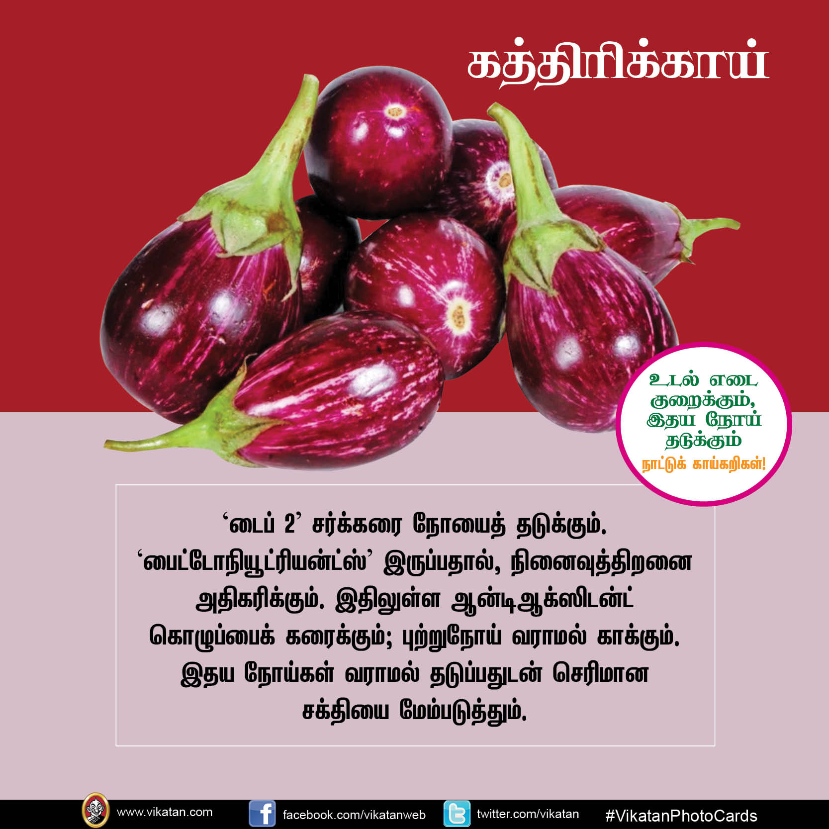 சுரைக்காய், பீர்க்கங்காய், வெண்டைக்காய்... நலம் காக்கும் நாட்டுக்காய்கறிகள்! #VikatanPhotoCards சுரைக்காய், பீர்க்கங்காய், வெண்டைக்காய்... நலம் காக்கும் நாட்டுக்காய்கறிகள்! #VikatanPhotoCards