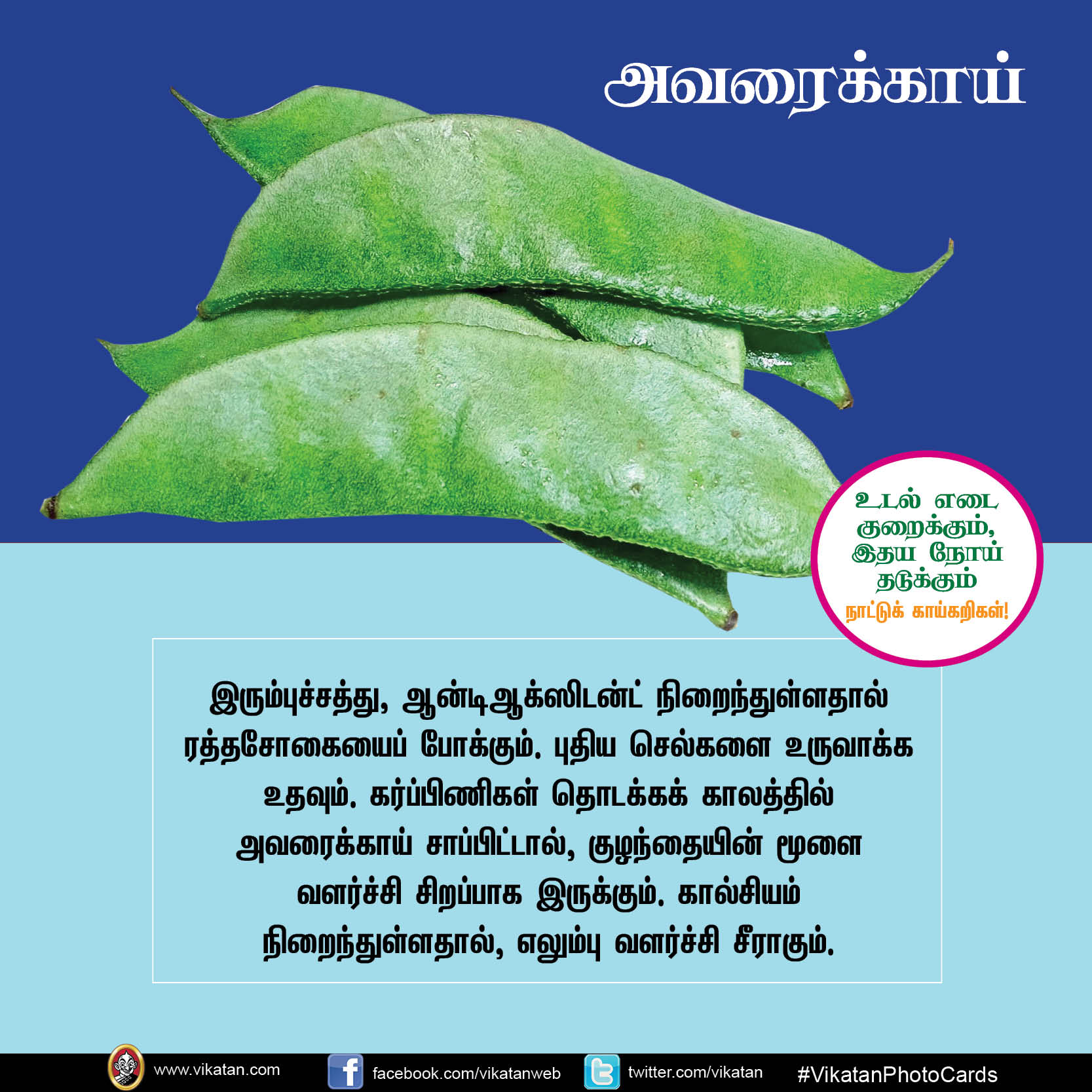 சுரைக்காய், பீர்க்கங்காய், வெண்டைக்காய்... நலம் காக்கும் நாட்டுக்காய்கறிகள்! #VikatanPhotoCards சுரைக்காய், பீர்க்கங்காய், வெண்டைக்காய்... நலம் காக்கும் நாட்டுக்காய்கறிகள்! #VikatanPhotoCards