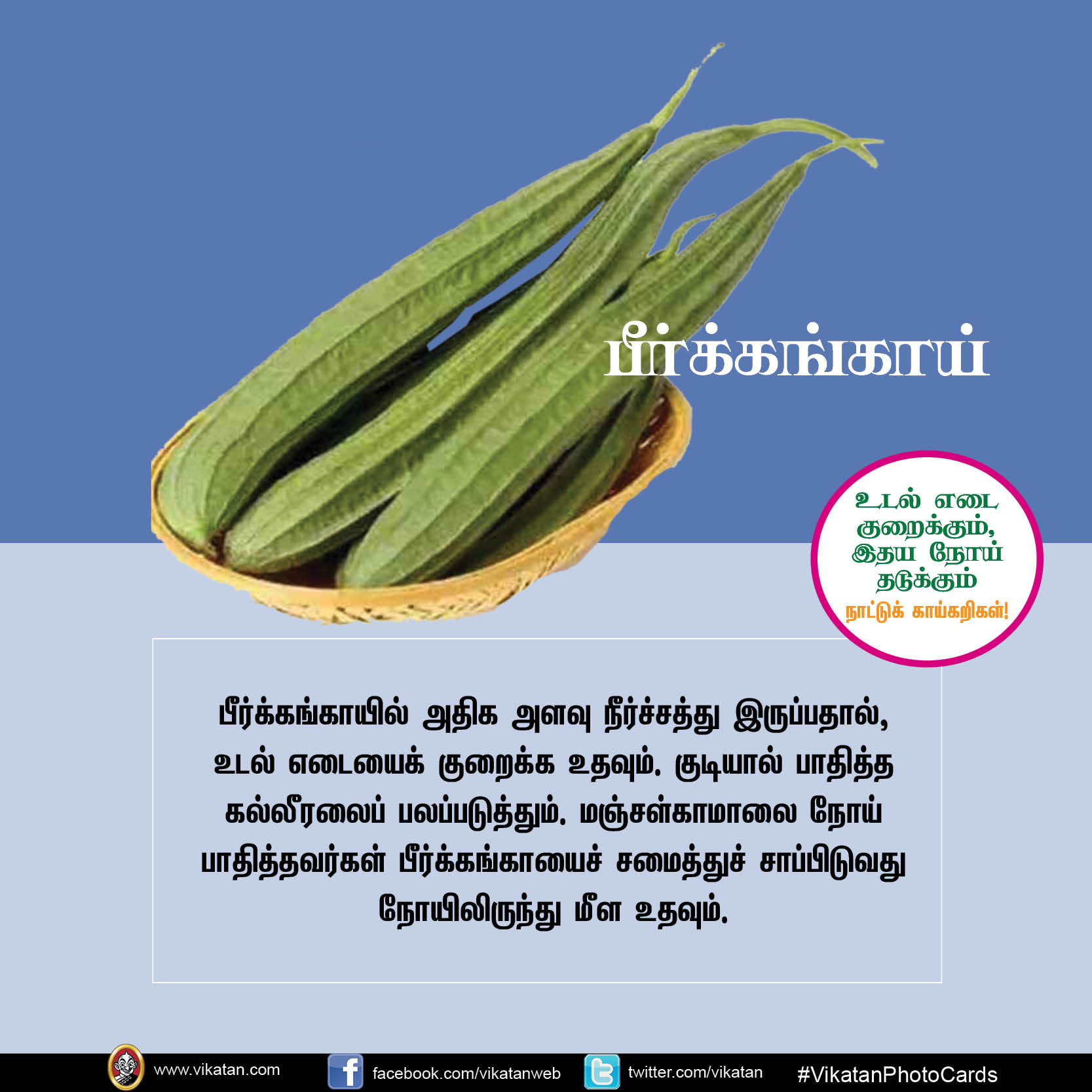 சுரைக்காய், பீர்க்கங்காய், வெண்டைக்காய்... நலம் காக்கும் நாட்டுக்காய்கறிகள்! #VikatanPhotoCards சுரைக்காய், பீர்க்கங்காய், வெண்டைக்காய்... நலம் காக்கும் நாட்டுக்காய்கறிகள்! #VikatanPhotoCards