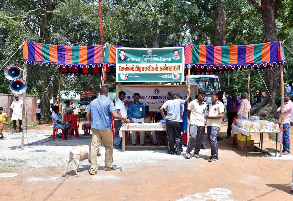 ஏற்காடு கோடைவிழாவில், சுற்றுலா பயணிகளை வெகுவாக கவர்ந்த நாய் கண்காட்சி! ஏற்காடு கோடைவிழாவில், சுற்றுலா பயணிகளை வெகுவாக கவர்ந்த நாய் கண்காட்சி!