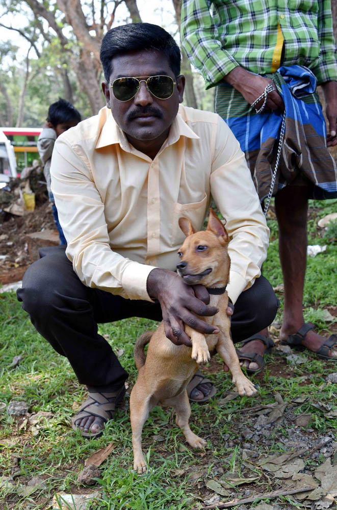 ஏற்காடு கோடைவிழாவில், சுற்றுலா பயணிகளை வெகுவாக கவர்ந்த நாய் கண்காட்சி! ஏற்காடு கோடைவிழாவில், சுற்றுலா பயணிகளை வெகுவாக கவர்ந்த நாய் கண்காட்சி!
