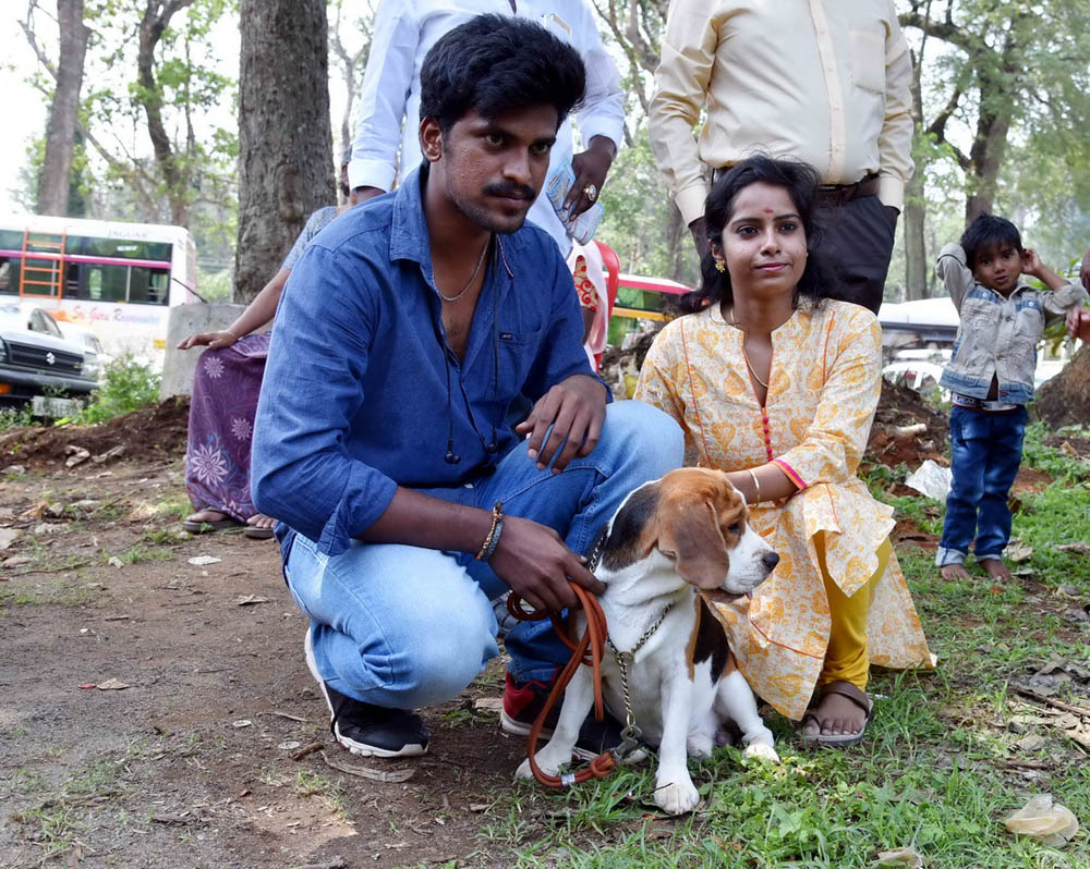 ஏற்காடு கோடைவிழாவில், சுற்றுலா பயணிகளை வெகுவாக கவர்ந்த நாய் கண்காட்சி! ஏற்காடு கோடைவிழாவில், சுற்றுலா பயணிகளை வெகுவாக கவர்ந்த நாய் கண்காட்சி!