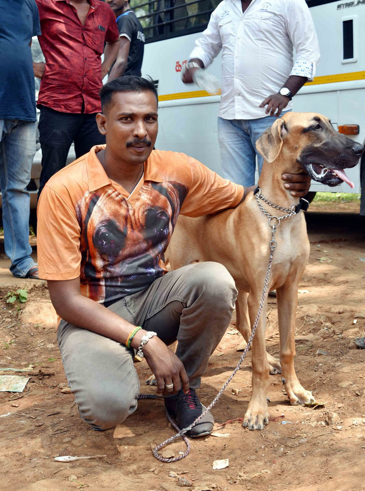 ஏற்காடு கோடைவிழாவில், சுற்றுலா பயணிகளை வெகுவாக கவர்ந்த நாய் கண்காட்சி! ஏற்காடு கோடைவிழாவில், சுற்றுலா பயணிகளை வெகுவாக கவர்ந்த நாய் கண்காட்சி!