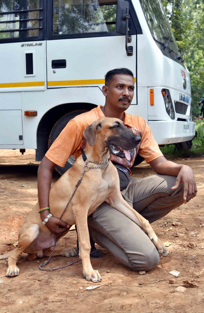ஏற்காடு கோடைவிழாவில், சுற்றுலா பயணிகளை வெகுவாக கவர்ந்த நாய் கண்காட்சி! ஏற்காடு கோடைவிழாவில், சுற்றுலா பயணிகளை வெகுவாக கவர்ந்த நாய் கண்காட்சி!