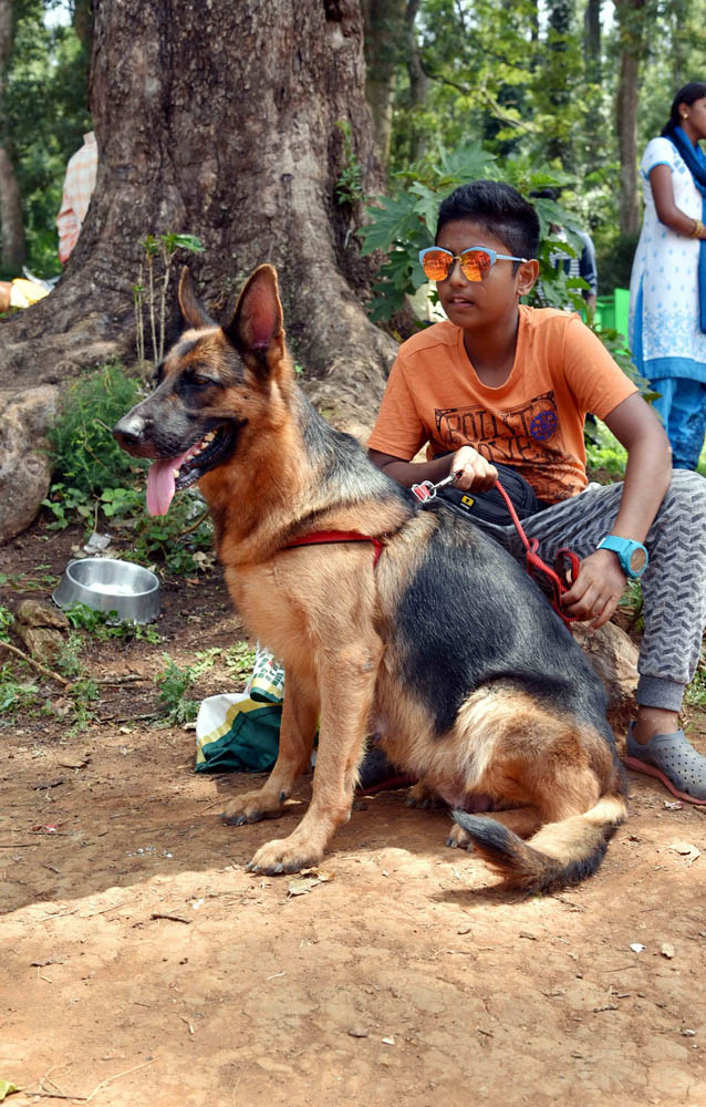 ஏற்காடு கோடைவிழாவில், சுற்றுலா பயணிகளை வெகுவாக கவர்ந்த நாய் கண்காட்சி! ஏற்காடு கோடைவிழாவில், சுற்றுலா பயணிகளை வெகுவாக கவர்ந்த நாய் கண்காட்சி!