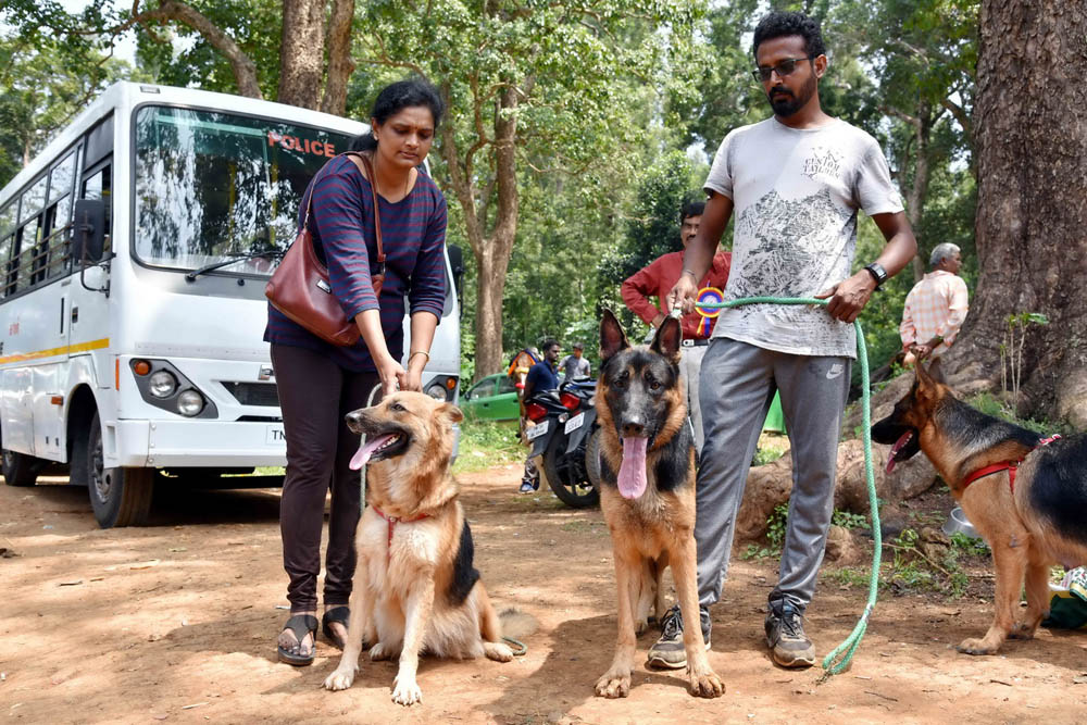 ஏற்காடு கோடைவிழாவில், சுற்றுலா பயணிகளை வெகுவாக கவர்ந்த நாய் கண்காட்சி! ஏற்காடு கோடைவிழாவில், சுற்றுலா பயணிகளை வெகுவாக கவர்ந்த நாய் கண்காட்சி!