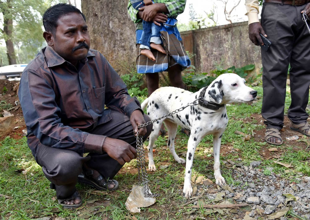 ஏற்காடு கோடைவிழாவில், சுற்றுலா பயணிகளை வெகுவாக கவர்ந்த நாய் கண்காட்சி! ஏற்காடு கோடைவிழாவில், சுற்றுலா பயணிகளை வெகுவாக கவர்ந்த நாய் கண்காட்சி!