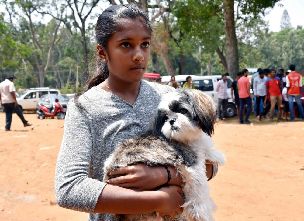 ஏற்காடு கோடைவிழாவில், சுற்றுலா பயணிகளை வெகுவாக கவர்ந்த நாய் கண்காட்சி! ஏற்காடு கோடைவிழாவில், சுற்றுலா பயணிகளை வெகுவாக கவர்ந்த நாய் கண்காட்சி!