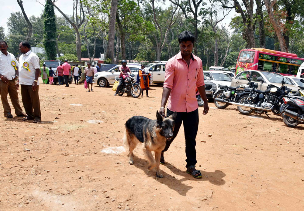 ஏற்காடு கோடைவிழாவில், சுற்றுலா பயணிகளை வெகுவாக கவர்ந்த நாய் கண்காட்சி! ஏற்காடு கோடைவிழாவில், சுற்றுலா பயணிகளை வெகுவாக கவர்ந்த நாய் கண்காட்சி!