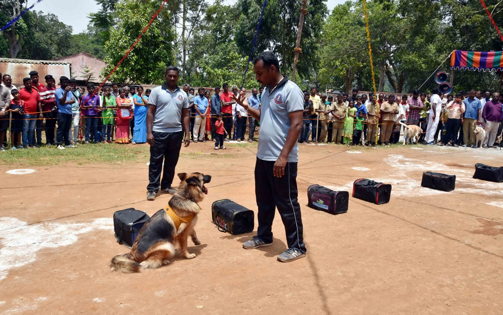 ஏற்காடு கோடைவிழாவில், சுற்றுலா பயணிகளை வெகுவாக கவர்ந்த நாய் கண்காட்சி! ஏற்காடு கோடைவிழாவில், சுற்றுலா பயணிகளை வெகுவாக கவர்ந்த நாய் கண்காட்சி!