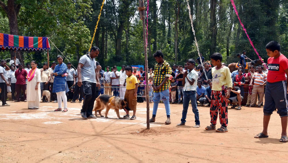ஏற்காடு கோடைவிழாவில், சுற்றுலா பயணிகளை வெகுவாக கவர்ந்த நாய் கண்காட்சி! ஏற்காடு கோடைவிழாவில், சுற்றுலா பயணிகளை வெகுவாக கவர்ந்த நாய் கண்காட்சி!