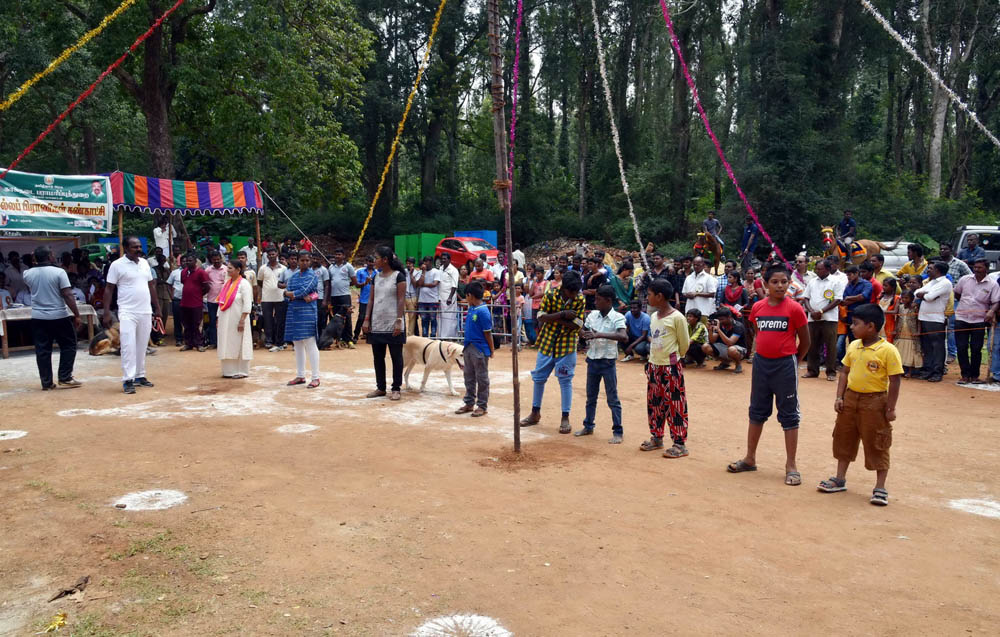 ஏற்காடு கோடைவிழாவில், சுற்றுலா பயணிகளை வெகுவாக கவர்ந்த நாய் கண்காட்சி! ஏற்காடு கோடைவிழாவில், சுற்றுலா பயணிகளை வெகுவாக கவர்ந்த நாய் கண்காட்சி!