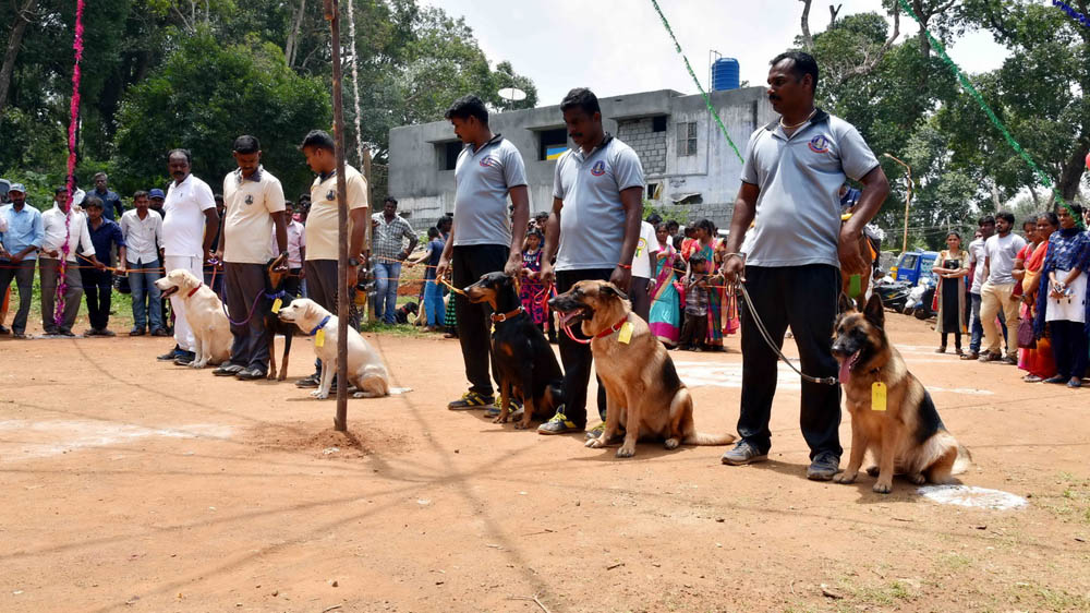 ஏற்காடு கோடைவிழாவில், சுற்றுலா பயணிகளை வெகுவாக கவர்ந்த நாய் கண்காட்சி! ஏற்காடு கோடைவிழாவில், சுற்றுலா பயணிகளை வெகுவாக கவர்ந்த நாய் கண்காட்சி!