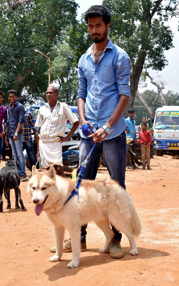 ஏற்காடு கோடைவிழாவில், சுற்றுலா பயணிகளை வெகுவாக கவர்ந்த நாய் கண்காட்சி! ஏற்காடு கோடைவிழாவில், சுற்றுலா பயணிகளை வெகுவாக கவர்ந்த நாய் கண்காட்சி!