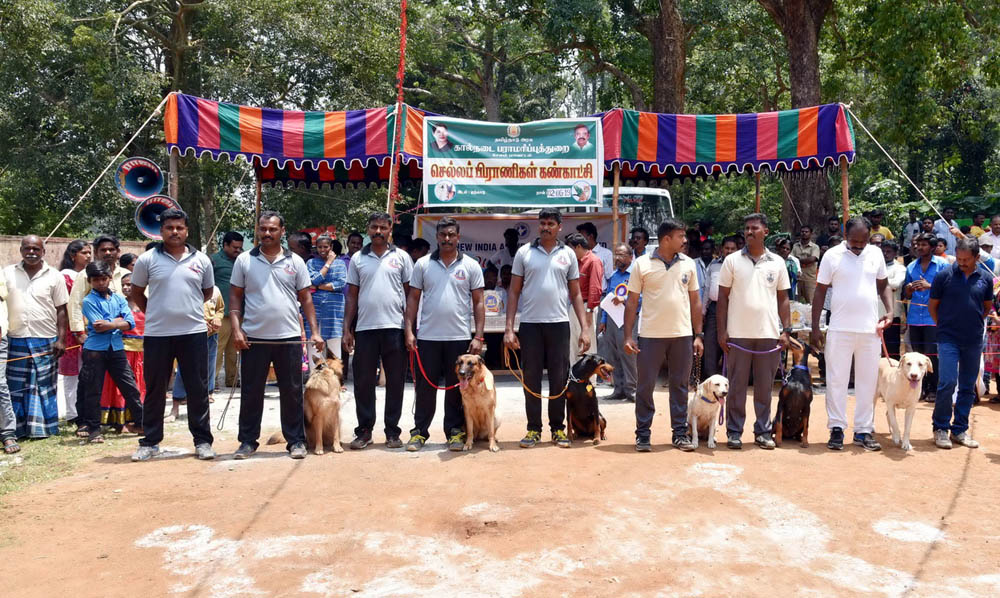 ஏற்காடு கோடைவிழாவில், சுற்றுலா பயணிகளை வெகுவாக கவர்ந்த நாய் கண்காட்சி! ஏற்காடு கோடைவிழாவில், சுற்றுலா பயணிகளை வெகுவாக கவர்ந்த நாய் கண்காட்சி!