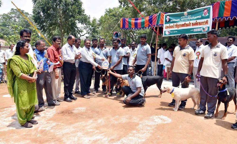 ஏற்காடு கோடைவிழாவில், சுற்றுலா பயணிகளை வெகுவாக கவர்ந்த நாய் கண்காட்சி! ஏற்காடு கோடைவிழாவில், சுற்றுலா பயணிகளை வெகுவாக கவர்ந்த நாய் கண்காட்சி!